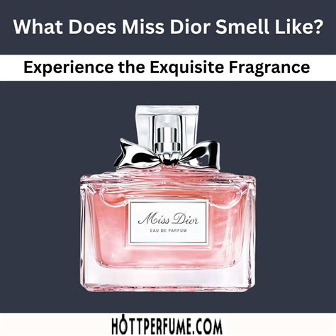 miss dior 2017 review|what does Miss Dior perfume smell like.